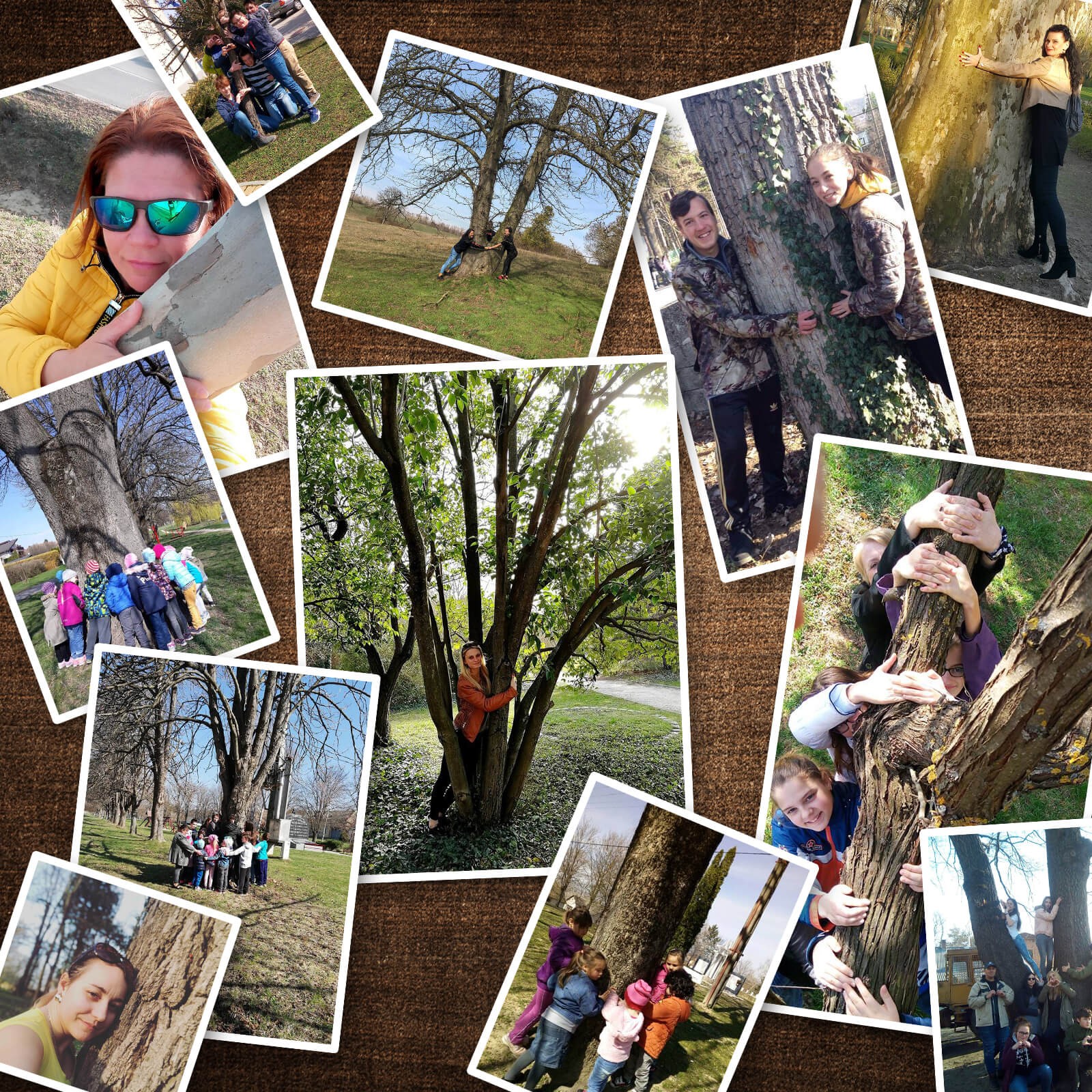 faolelo_montazs_stihl