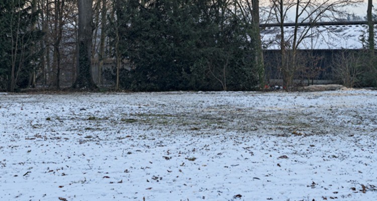 A fűnyírógépek felkészítése a télre