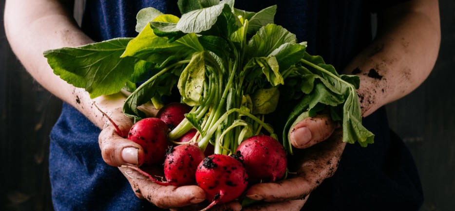 5 z&ouml;lds&eacute;g, amit m&aacute;r m&aacute;rciusban vethet&uuml;nk szabadf&ouml;ldbe