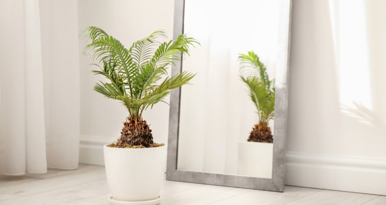 5+1 szoban&ouml;v&eacute;ny, ami j&oacute;l b&iacute;rja a sz&aacute;razs&aacute;got