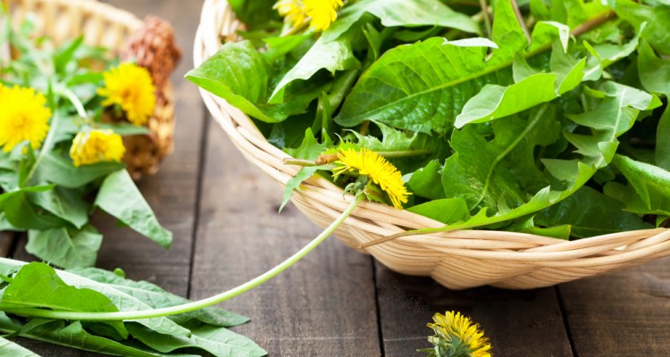 7+1 gyomn&ouml;v&eacute;ny, amit felhaszn&aacute;lhatunk a konyh&aacute;ban